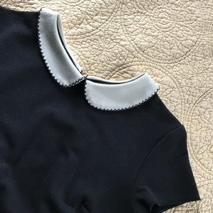 black cap sleeve collared stretchy dress